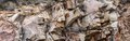 Craggy Outcroppings Along the Catalina Highway, Arizona #5, Panorama, horizontal