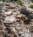 Craggy Outcroppings Along the Catalina Highway, Arizona #6, Panograph, horizontal