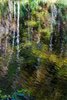 Reflections on Little River, Great Smokys, #1, vertical