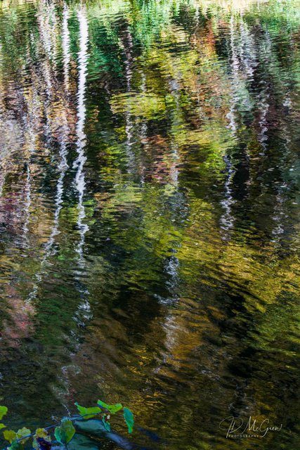 Reflections on Little River, Great Smokys, #1, vertical