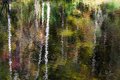 Reflections on Little River, Great Smokys, #2, horizontal