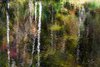 Reflections on Little River, Great Smokys, #2, horizontal