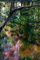 Reflections on Little River, Great Smokys, #3, vertical