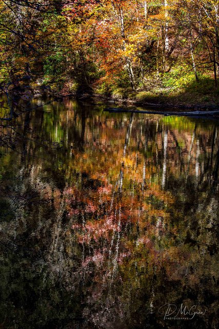 Reflections on Little River, Great Smokys, #4, vertical