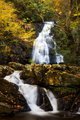 Spruce Flat Falls in the Great Smokys, #1