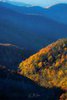 Fall Colors in the Great Smokys, #2, vertical