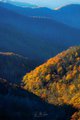 Fall Colors in the Great Smokys, #2, vertical