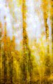 Fall Colors in the Great Smokys, #4, vertical