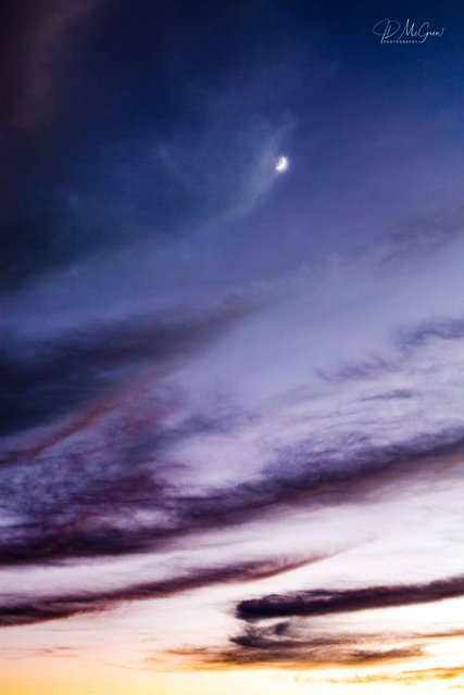 Silver Crescent Moon Against Twilight Cobalt Sky