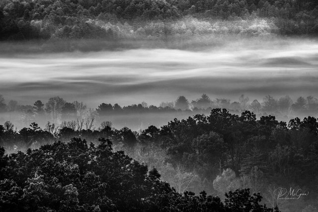 Morning Mist in the Great Smokys, #1, black and white, horizontal