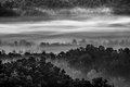 Morning Mist in the Great Smokys, #1, black and white, horizontal