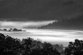 Morning Mist in the Great Smokys, #2, black and white, horizontal
