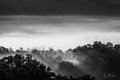 Morning Mist in the Great Smokys, #7, black and white, horizontal