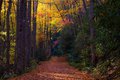 Fall Colors in the Great Smokys, #8, horizontal