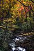 Fall Colors in the Great Smokys, #9, vertical