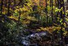 Fall Colors in the Great Smokys, #10, horizontal