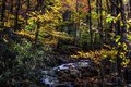 Fall Colors in the Great Smokys, #10, horizontal