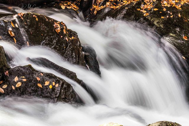 Rushing Whitewater River in the Great Smokys