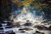 Morning Mist in the Great Smokys, #10, color, horizontal