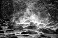 Morning Mist in the Great Smokys, #11, black and white, horizontal