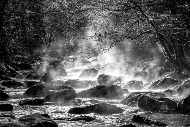 Morning Mist in the Great Smokys, #11, black and white, horizontal