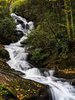 Roaring Fork Creek Falls, Pisgah National Forest, #1, vertical
