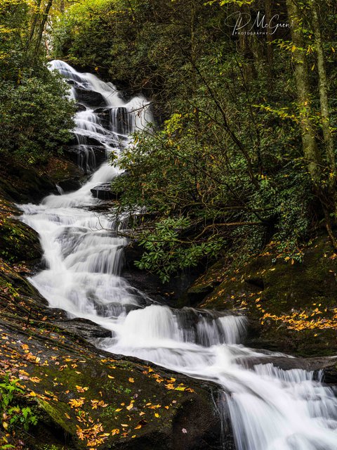 Roaring Fork Creek Falls, Pisgah National Forest, #1, vertical