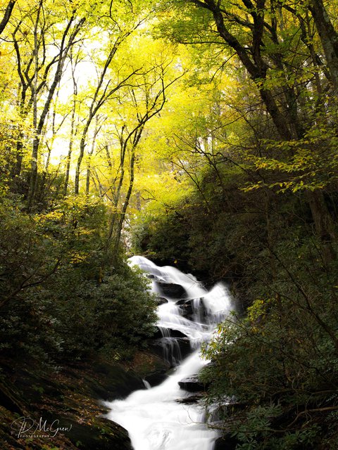 Roaring Fork Creek Falls in the Pisgah National Forest, #2, vertical