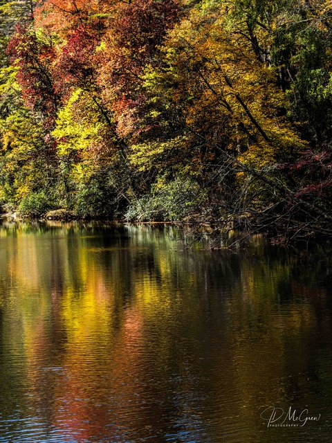 Linville River in the Linville Gorge, North Carolina