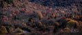 Graveyard Fields Overlook, Panorama