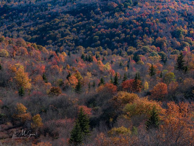 Graveyard Fields Overlook