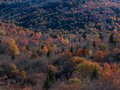 Graveyard Fields Overlook