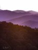 Misty Mountains on the Blue Ridge Parkway #3, vertical