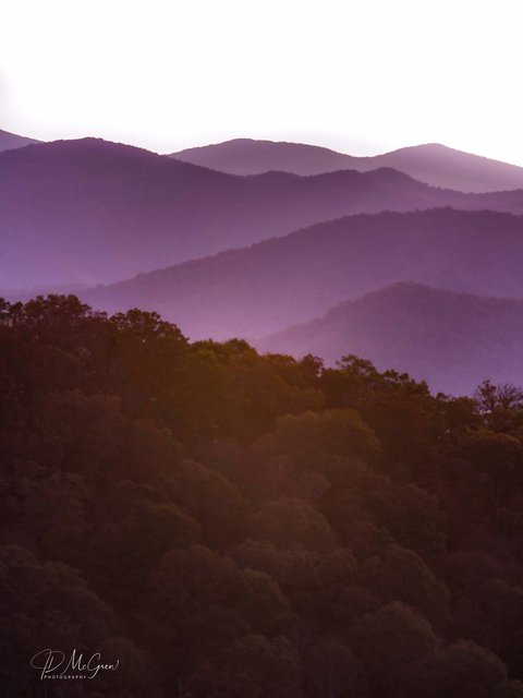 Misty Mountains on the Blue Ridge Parkway #3, vertical