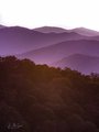 Misty Mountains on the Blue Ridge Parkway #3, vertical