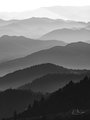 Skyscapes - Fog Clouds Mist or Snow