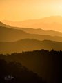God's Rays and Glow in Gold on the Blue Ridge Parkway #1, vertical, color