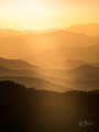 God's Rays and Glow in Gold on the Blue Ridge Parkway #3, vertical, color