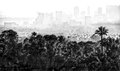 The Forest and the City, #2