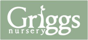 Griggs Nursery
