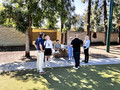 Image of Gallery Item 8854a