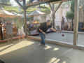 Image of Gallery Item 8887a