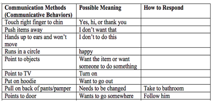 The headings of the Gesture Dictionary read "communicative methods," "possible meaning," and "how to respond" and examples are listed underneath such as "touch right finger to chin," means "yes, hi, or thank you."