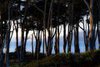 Days End at Lands End #2