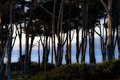 Days End at Lands End #2