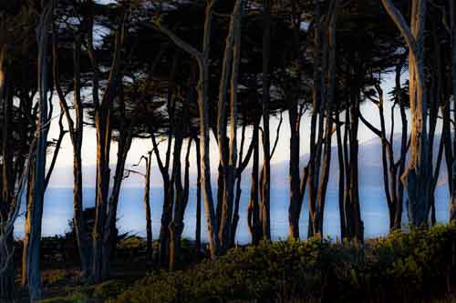 Days End at Lands End #2