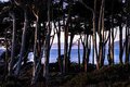 Days End at Lands End #3
