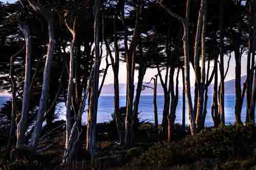 Days End at Lands End #3