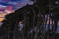 Sunset at Lands End #2