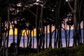 Sunset at Lands End, San Francisco